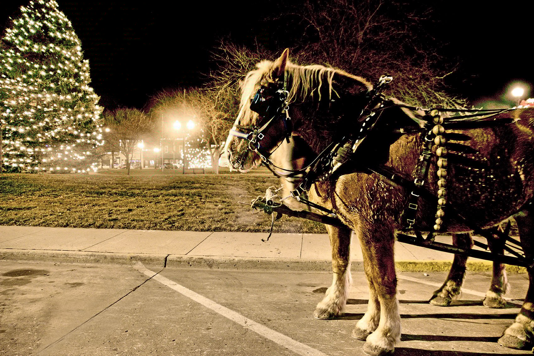 Winter nights 2